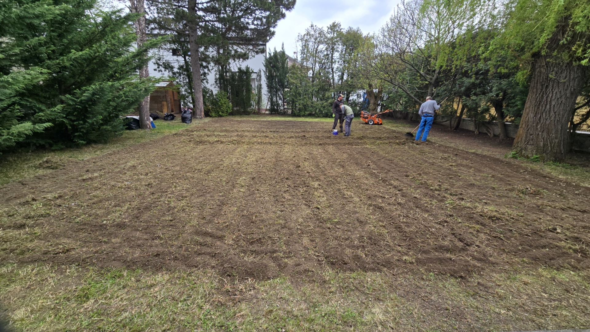 Re-cultivated lawn and grounds