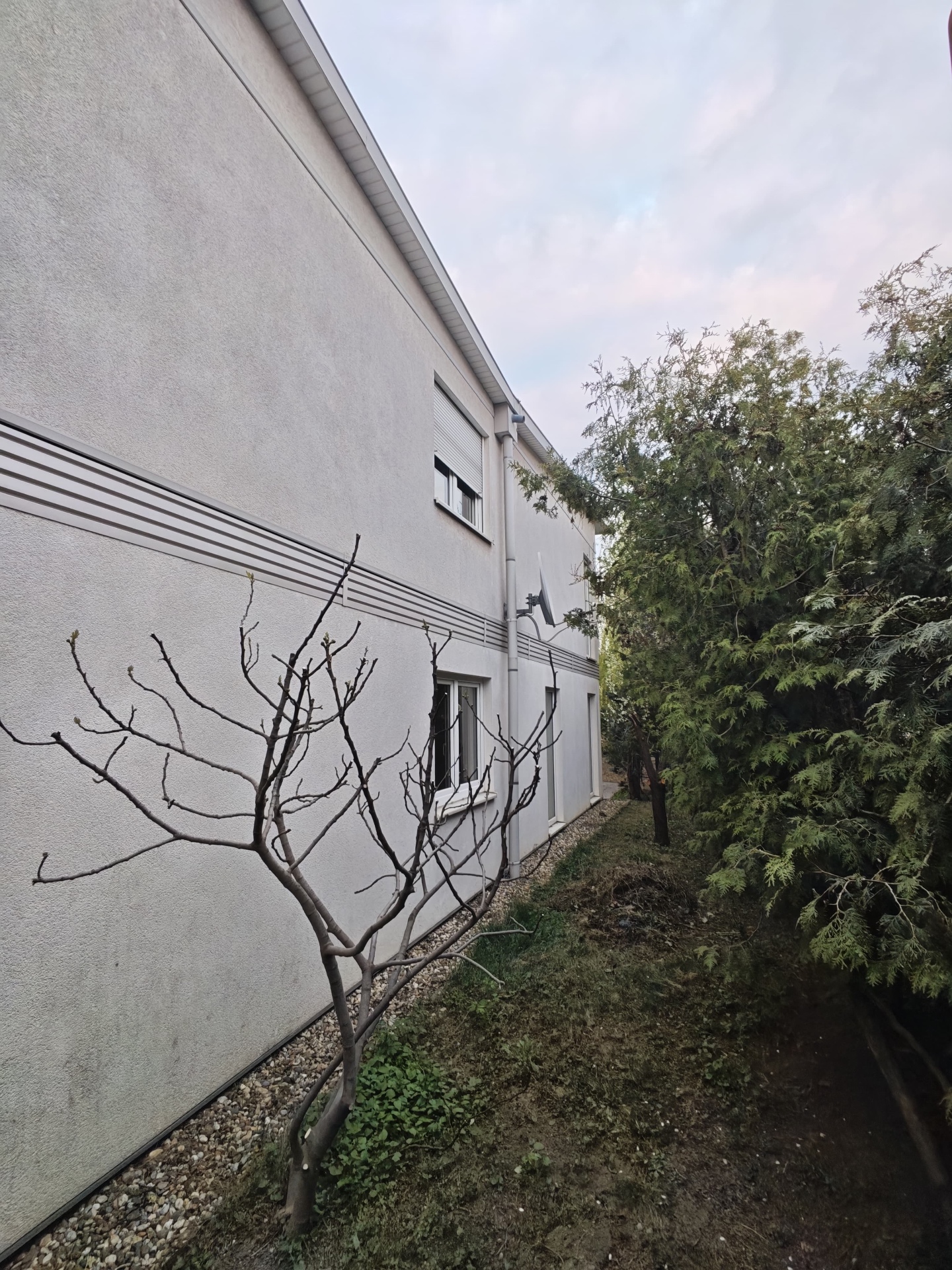 Villa side elevation